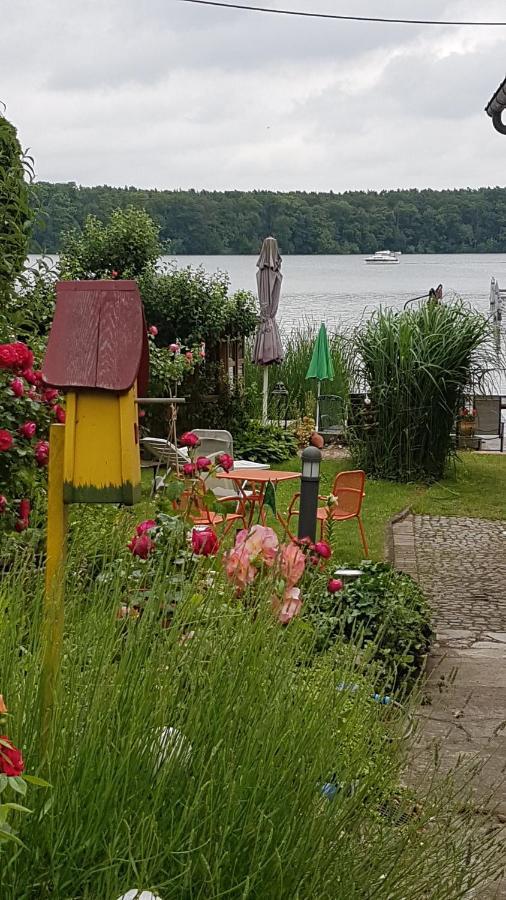 Zeuthen Ferienwohnung Am See, Stadtgrenze Berlin Dış mekan fotoğraf